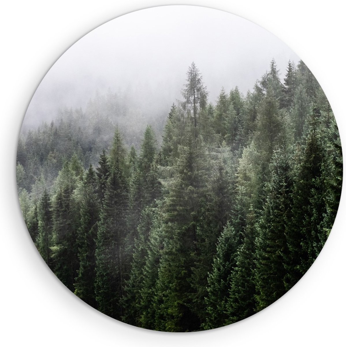 Saammp Forex Muurcirkel - Naaldbomen tussen de mist - Landschap - Natuur - Ø 60 - Wandcirkel - Wanddecoratie Cirkel - Muurdecoratie Woonkamer - Slaapkamer decoratie - Rond Schilderij