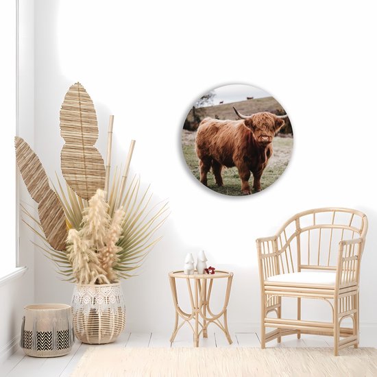 Saammp Cercle Mural Bois - Groupe Vaches Highlander Écossaises sur les hautes terres - Animaux - Nature - Ø 60 - Cercle Mural - Cercle Décoration murale - Décoration Murale Salon - Décoration Chambre - Tableau Rond