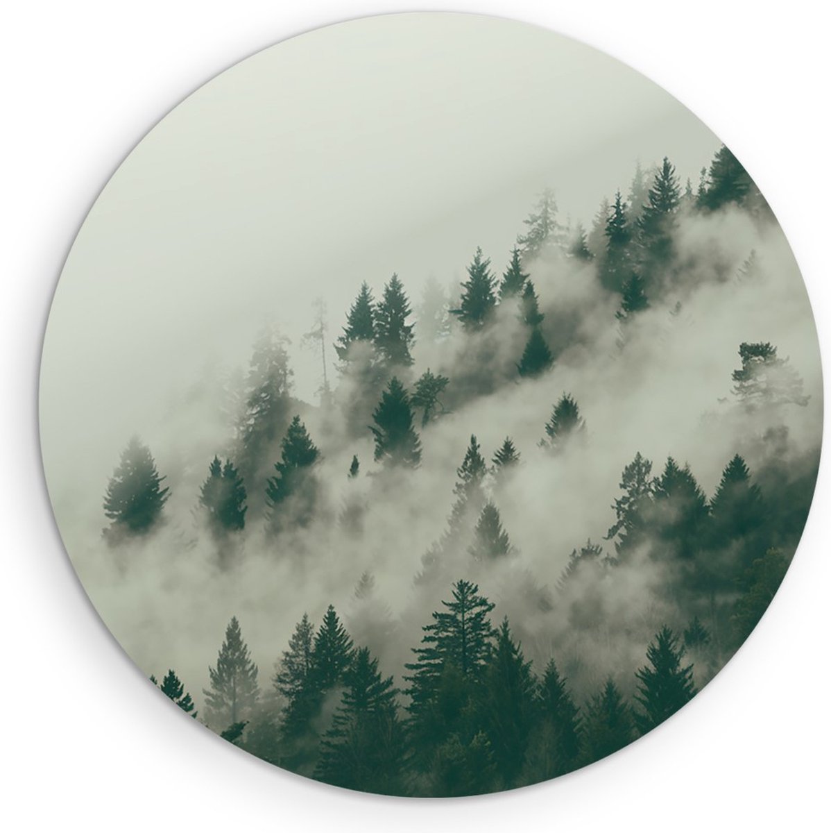 Saammp Forex Muurcirkel - Mist tussen de bomen - Landschap - Natuur - Ø 70 - Wandcirkel - Wanddecoratie Cirkel - Muurdecoratie Woonkamer - Slaapkamer decoratie - Rond Schilderij