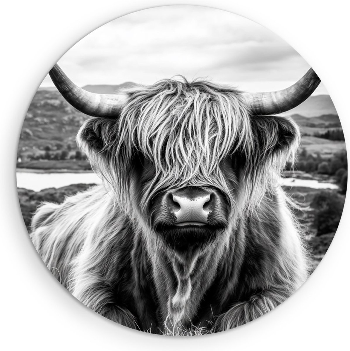 Saammp Muurcirkel Hout - Schotse Hooglander Koe - Zwart-Wit - Dieren - Landschap - Ø 50 - Wandcirkel - Wanddecoratie Cirkel - muurdecoratie Woonkamer - Slaapkamer decoratie - Rond Schilderij
