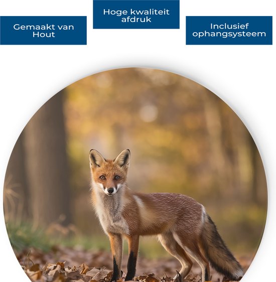 Saammp Muurcirkel Hout - Vos in het bos - Natuur - Dieren - Ø 60 - Wandcirkel - Wanddecoratie Cirkel - Muurdecoratie Woonkamer - Slaapkamer decoratie - Rond Schilderij