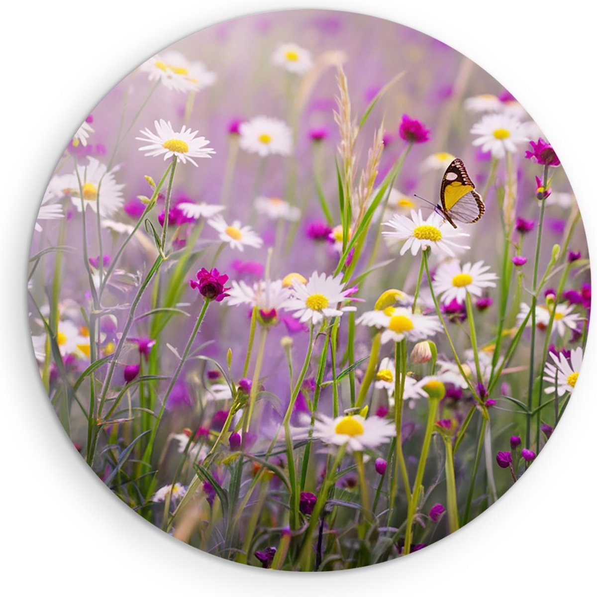 Saammp Forex Muurcirkel - bloemen in veld - Natuur - Ø 80 - Wandcirkel - Wanddecoratie Cirkel - Muurdecoratie Woonkamer - Kantoor Decoratie