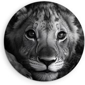 Saammp Muurcirkel Hout - Schattige Leeuwen Welp - Dieren - Natuur - Ø 50 - Wandcirkel - Wanddecoratie Cirkel - Muurdecoratie Woonkamer - Slaapkamer decoratie - Rond Schilderij