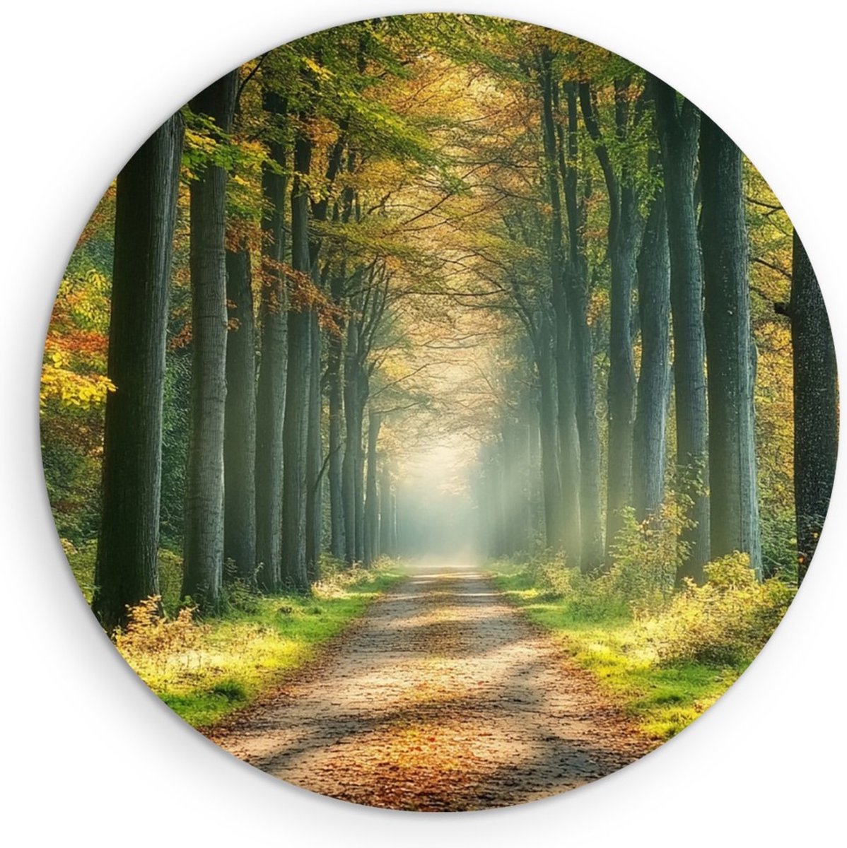 Saammp Muurcirkel Hout - Natuur - bospad tussen de hoge bomen - landschap - Ø 80 - Wandcirkel - Wanddecoratie Cirkel - Muurdecoratie Woonkamer - Slaapkamer decoratie - Rond Schilderij
