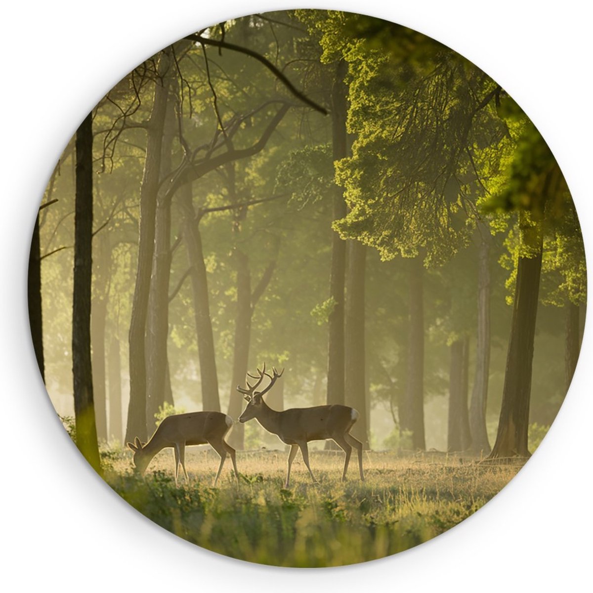 Saammp Muurcirkel Hout - 2 Herten in het bos - Dieren - Landschap - Natuur - Ø 90 - Wandcirkel - Wanddecoratie Cirkel - Muurdecoratie Woonkamer - Slaapkamer decoratie - Rond Schilderij