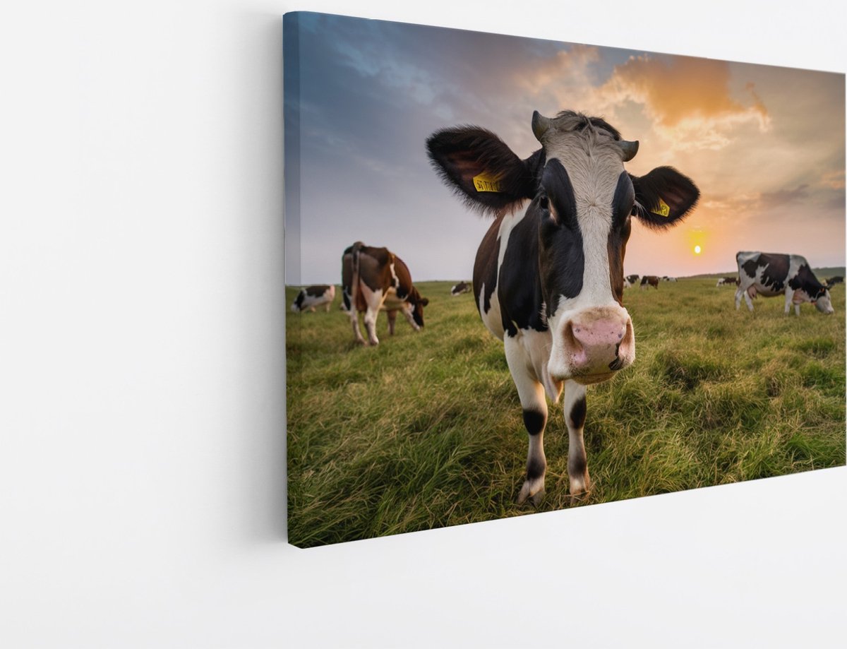 Saammp Canvas Schilderij - Koe in de wei met zonsondergang - Natuur - Dieren - 100x75 - Foto op canvas - Wanddecoratie - Muurdecoratie Woonkamer - Slaapkamer decoratie - Canvas Print Multicolor