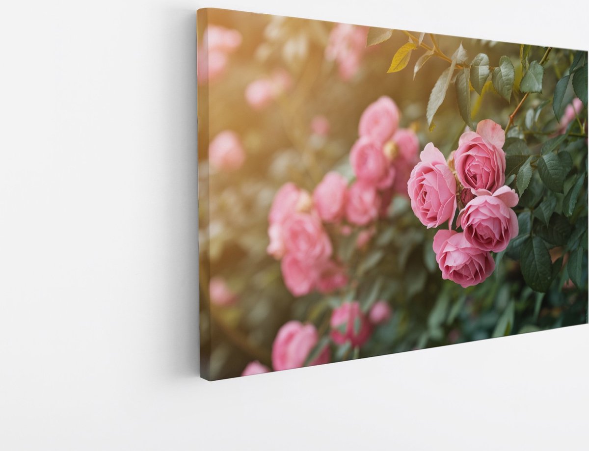 Saammp Canvas Schilderij - Rozen in Tuin - Natuur - Romantisch - 90x60 - Foto op canvas - Wanddecoratie - Muurdecoratie Woonkamer - Slaapkamer Decoratie Multicolor