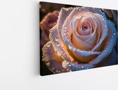 70 cm x 50 cm
