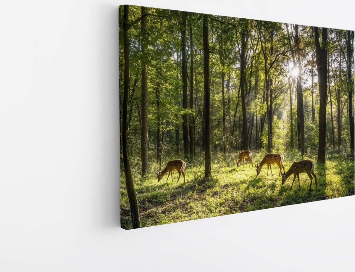 Saammp Canvas Schilderij - Natuur - 2 Bomen op Rotsen - landschappen - 70x50 - Foto op canvas - Wanddecoratie - Muurdecoratie Woonkamer - Slaapkamer decoratie - Canvas Print Multicolor