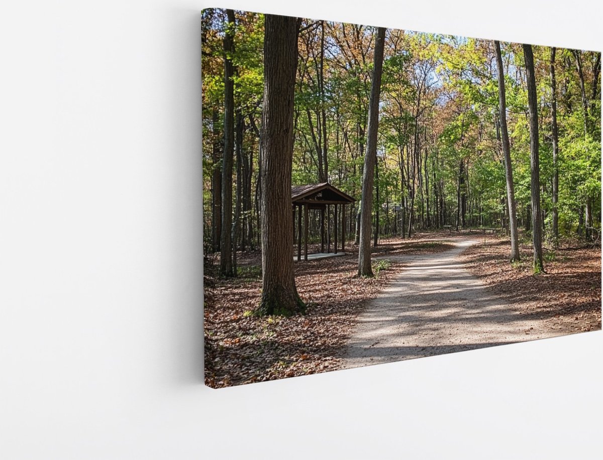 Saammp Canvas Schilderij - Nederlands bos- Natuur - Landschap - 150x100 - Foto op canvas - Wanddecoratie - Muurdecoratie Woonkamer - Slaapkamer decoratie - Canvas Print Multicolor