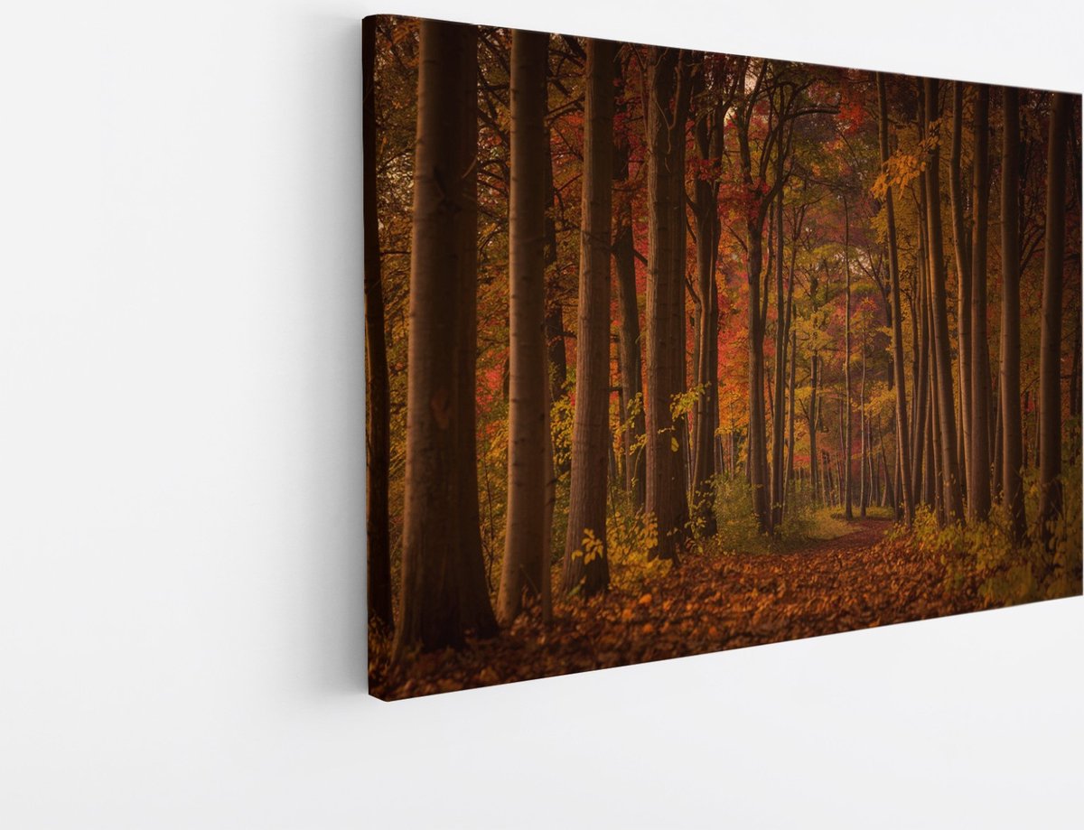 Saammp Canvas Schilderij - Herfstbos - Pad met zonsondergang - Landschap - Natuur - 120x80 - Foto op canvas - Wanddecoratie - Muurdecoratie Woonkamer - Slaapkamer decoratie - Canvas Print Multicolor