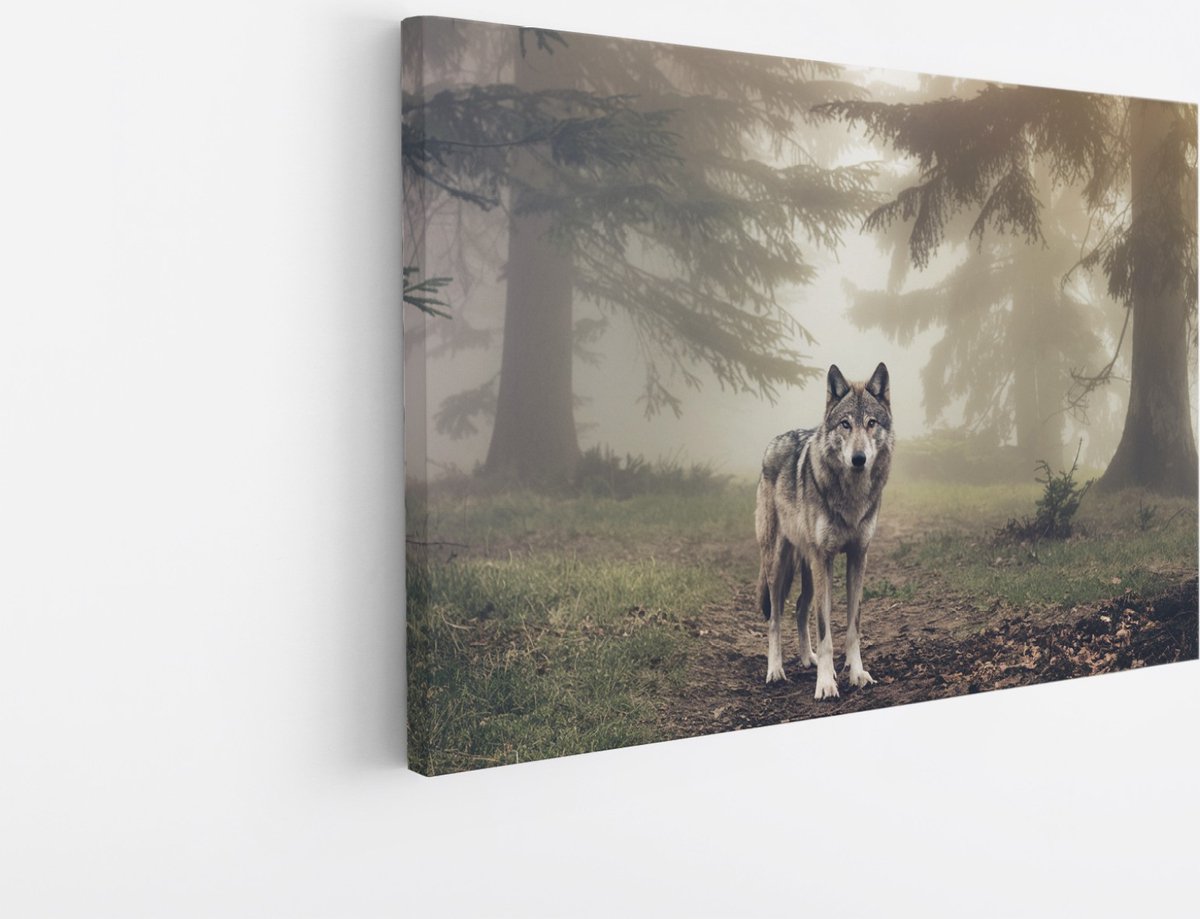 Saammp Canvas Schilderij - Wolf in een bos met mist - Dieren - Natuur - 120x80 - Foto op canvas - Wanddecoratie - muurdecoratie Woonkamer - Slaapkamer decoratie - Canvas Print Multicolor