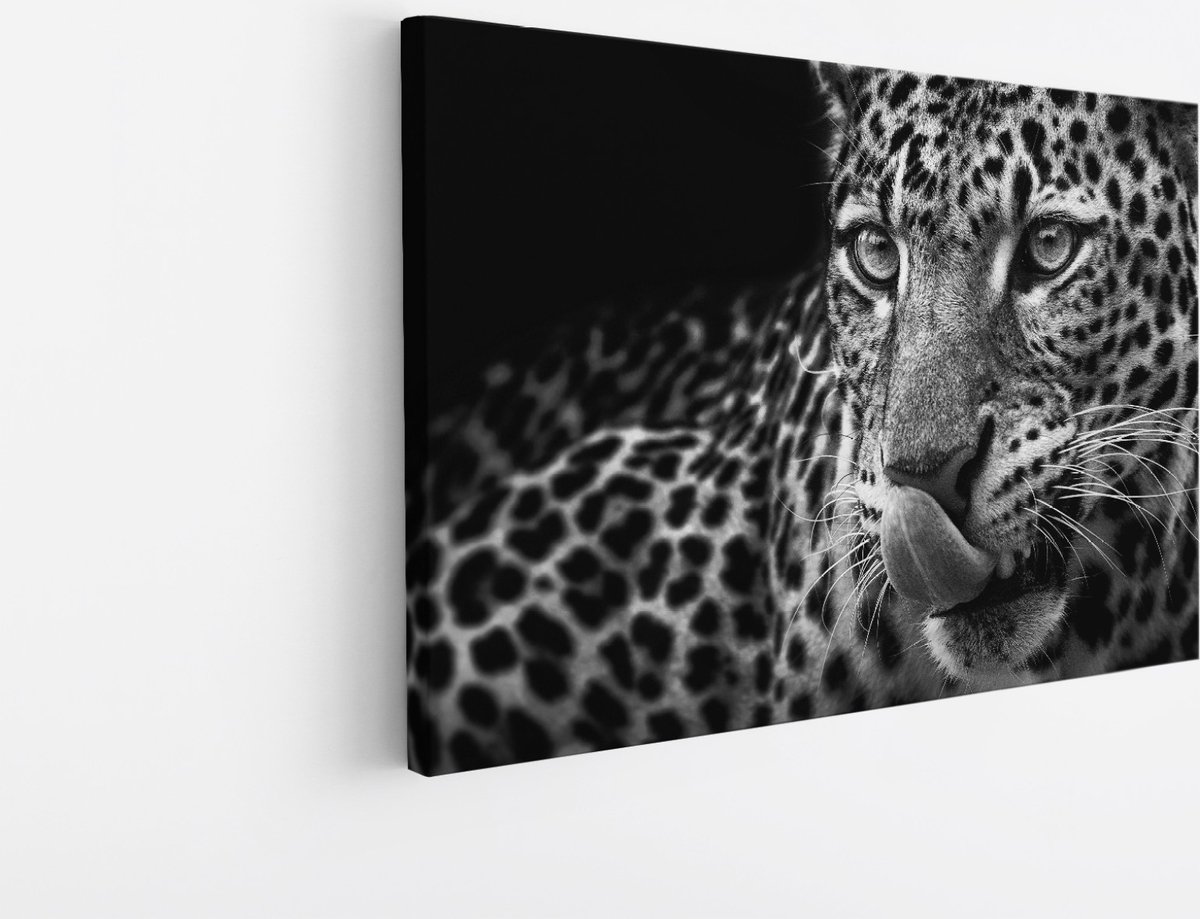 Saammp Canvas Schilderij - Panter met tong naar buiten - Natuur - Dieren - 40x30 - Foto op canvas - Wanddecoratie - Muurdecoratie Woonkamer - Slaapkamer decoratie - Canvas Print Multicolor