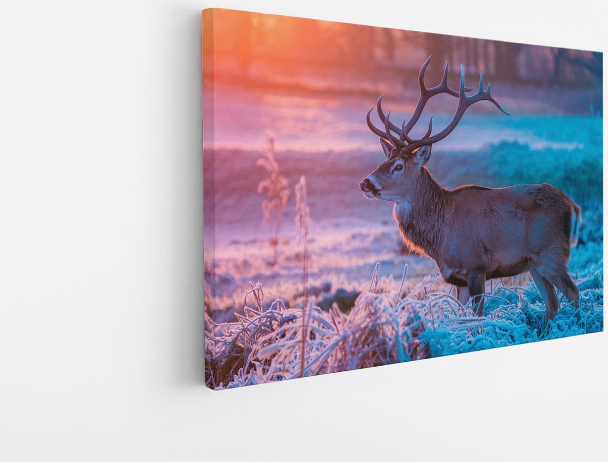 Saammp Canvas Schilderij - hert met zonsopgang en bevroren gras - Natuur - Dieren - 60x40 - Foto op canvas - Wanddecoratie - Muurdecoratie Woonkamer - Slaapkamer decoratie - Canvas Print Multicolor