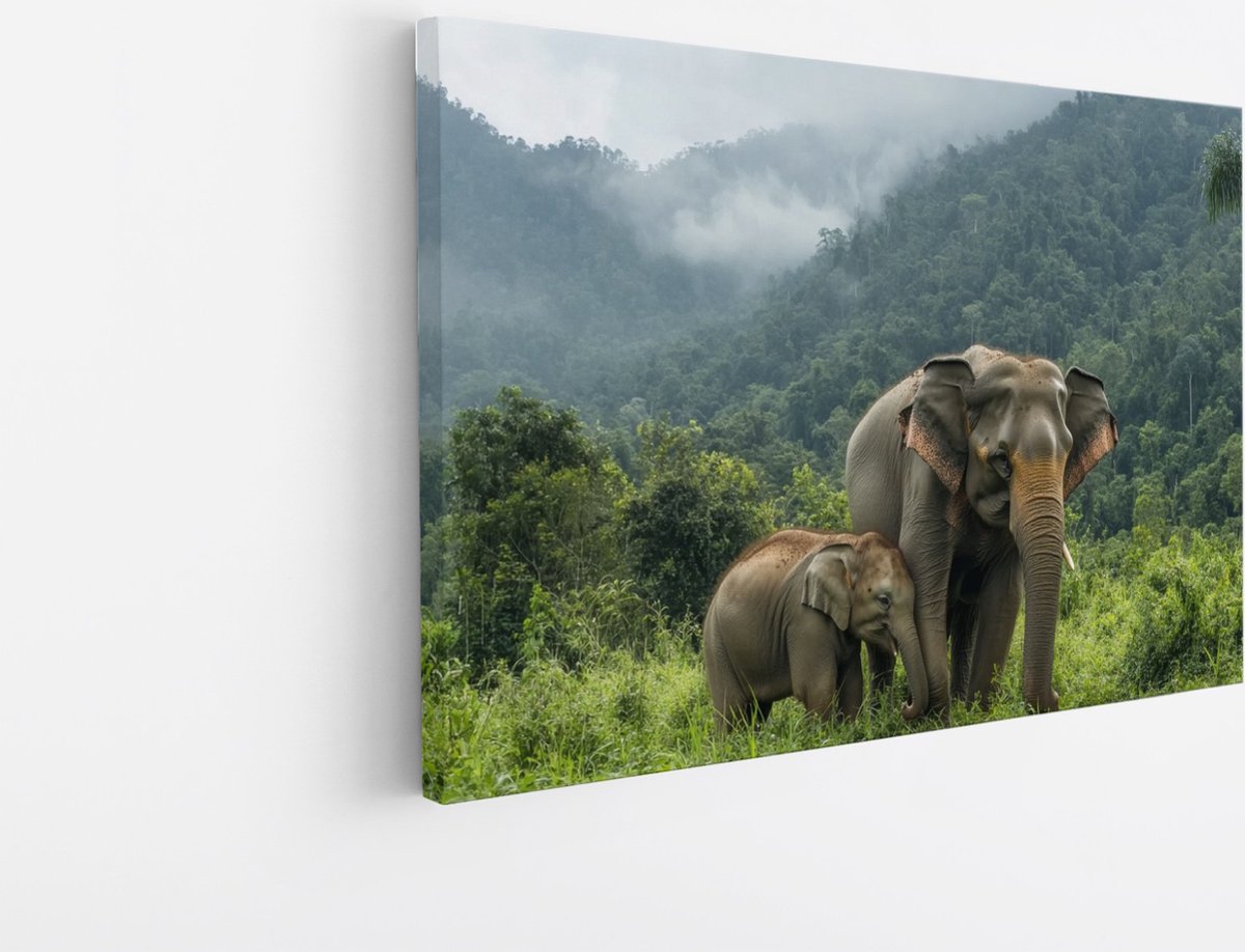 Saammp Canvas Schilderij - Olifant met kalf in thailand - Dieren - 120x80 - Foto op canvas - Wanddecoratie - muurdecoratie Woonkamer - Slaapkamer decoratie - Canvas Print Multicolor