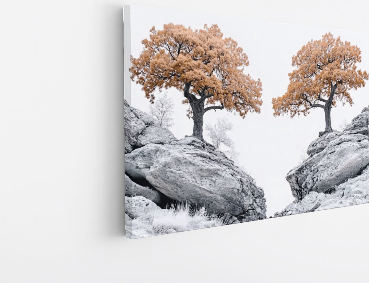 Saammp Canvas Schilderij - Natuur - Rotsen - landschappen - 120x80 - Foto op canvas - Wanddecoratie - Muurdecoratie Woonkamer - Slaapkamer decoratie - Canvas Print Multicolor