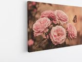 120 cm x 80 cm