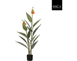 Mica Decorations Canna in pot orange - 115 x 46cm
