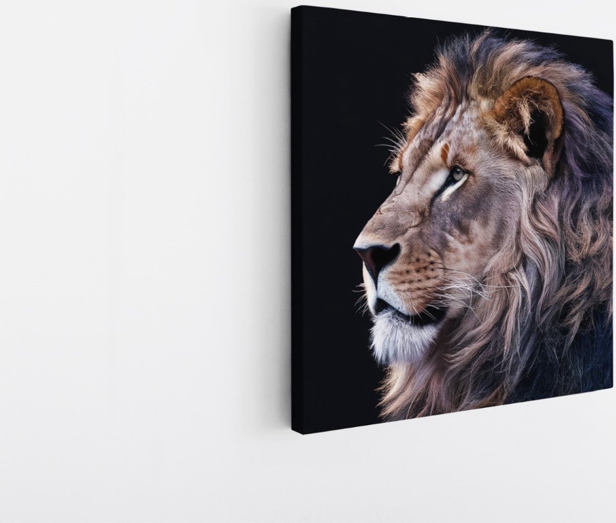 Saammp Canvas Schilderij - leeuwen portret - Afrika - Dieren - Natuur - 30x30 - Foto op canvas - Wanddecoratie - Muurdecoratie Woonkamer - Slaapkamer decoratie - Canvas Print Multicolor