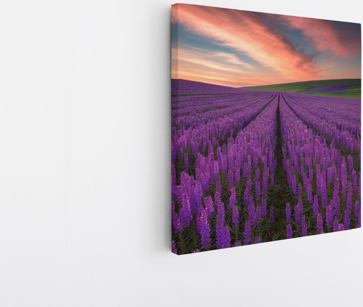 Saammp Canvas Schilderij - Lavendelveld - Natuur - Landschap - 60x60 - Foto op canvas - Wanddecoratie - Muurdecoratie Woonkamer - Slaapkamer decoratie - Canvas Print Multicolor