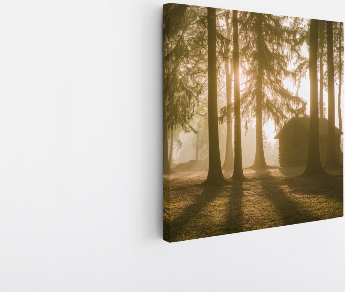 Saammp Canvas Schilderij - Huis - Grote Bomen - Landschap - Natuur - 60x60 - Foto op canvas - Wanddecoratie - Muurdecoratie Woonkamer - Slaapkamer decoratie - Canvas Print Multicolor