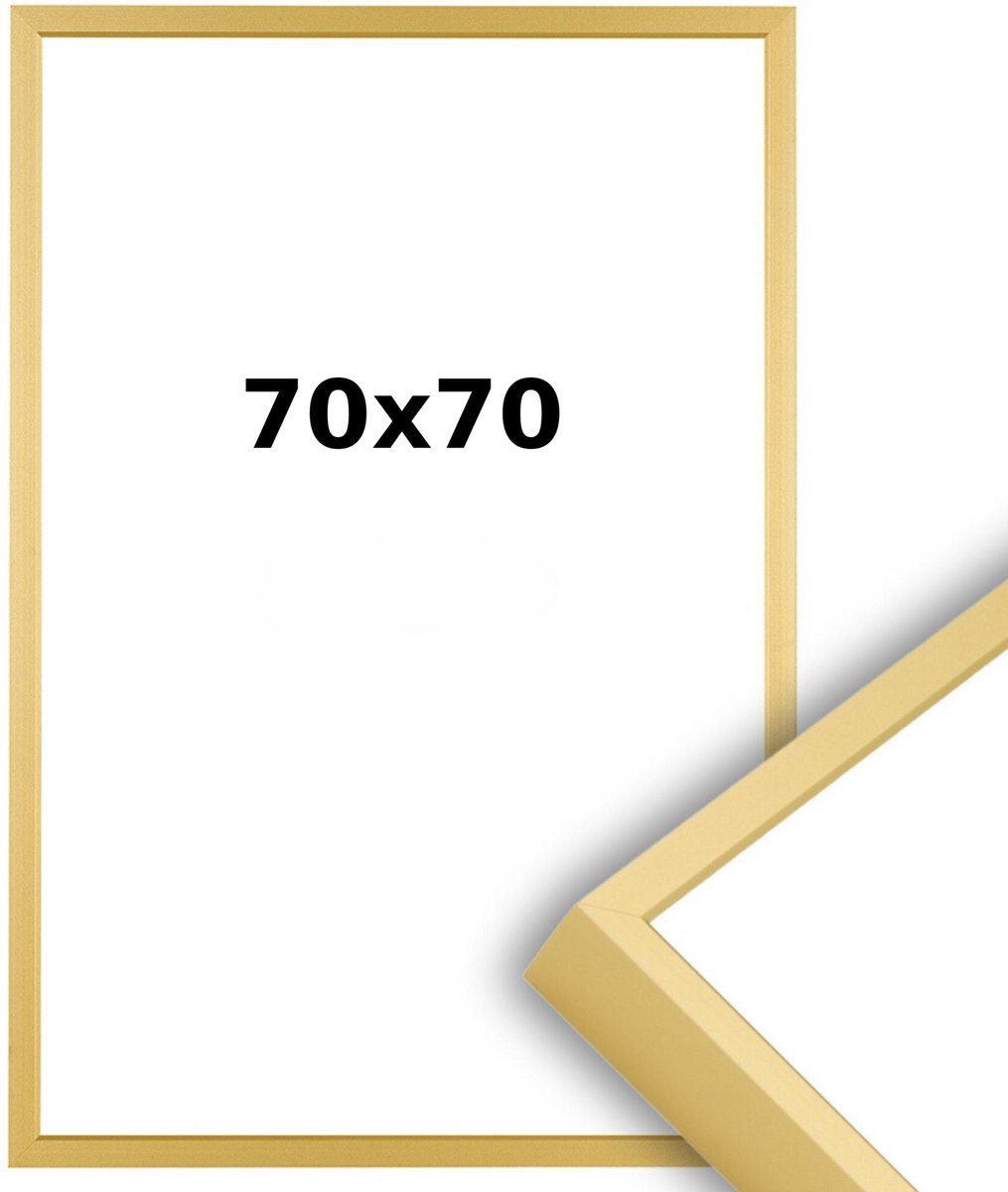 Lichtendonk Aluminium Wissellijst 70 x 70 Mat Champagne Goud - Helder Acrylite - Professional