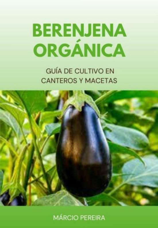 Berenjena Orgánica - cover
