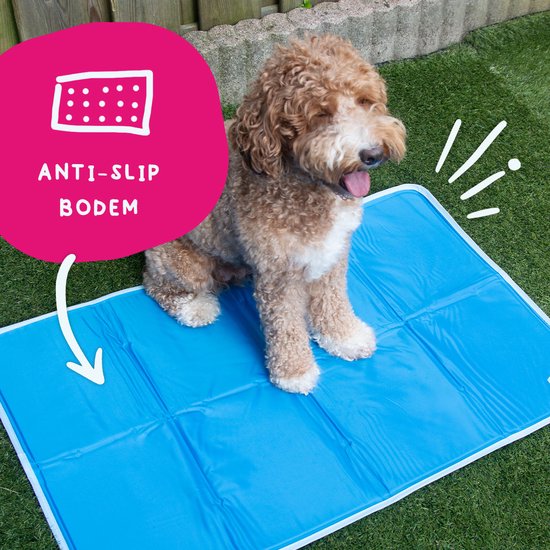 Koelmat hond xl kopen, aanbieding en ervaringen - Uitgelaten Hond