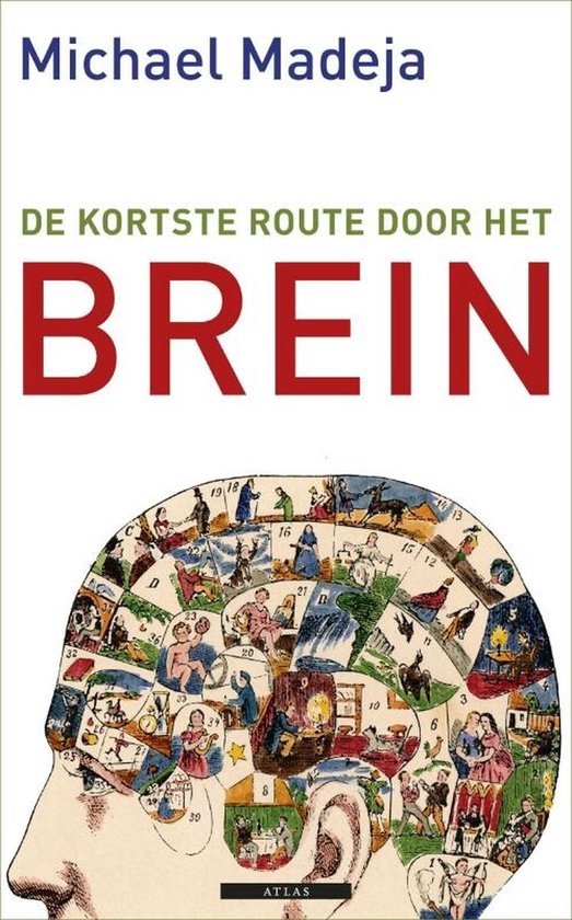 Foto: De kortste route door het brein