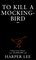 Paperback