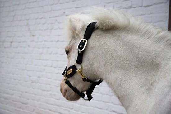 Kentucky Horsewear - Velvet halster zwart shetland pony Kentucky Horsewear - Velvet halster zwart shetland pony