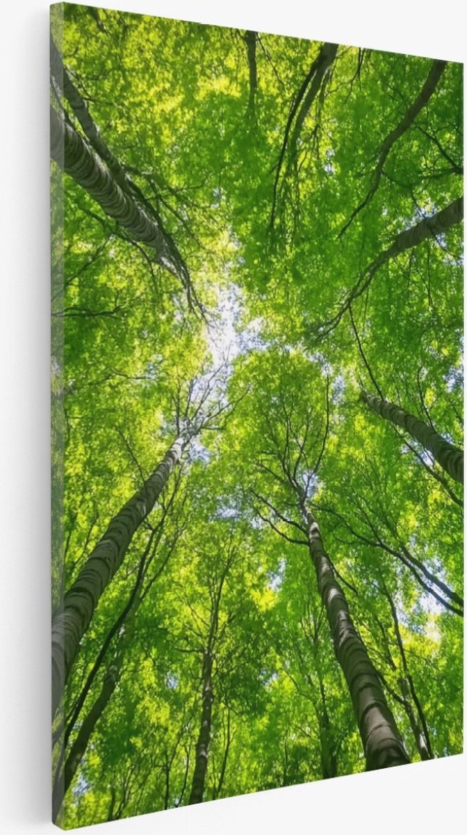 Saammp Canvas Schilderij - Natuur - hert in zonneschijn - landschappen - 40x60 - Foto op canvas - Wanddecoratie - Muurdecoratie Woonkamer - Slaapkamer decoratie - Canvas Print Multicolor