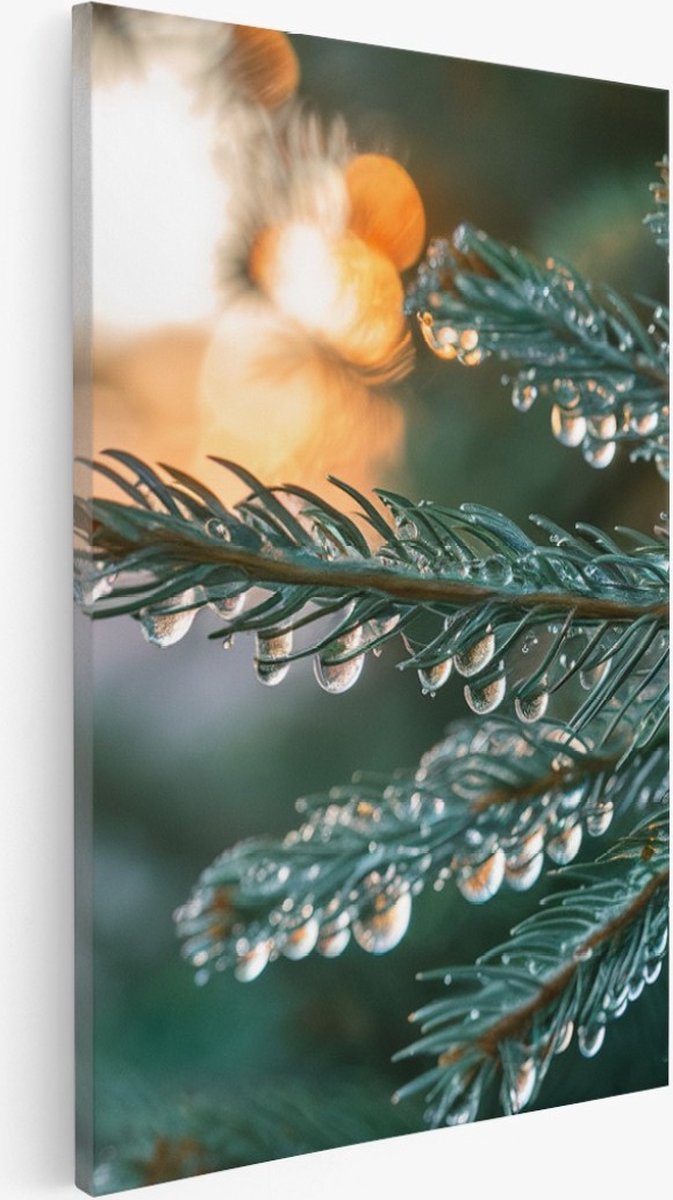 Saammp Canvas Schilderij - Natte pijnboom - Landschap - Natuur - 30x45 - Foto op canvas - Wanddecoratie - Muurdecoratie Woonkamer - Slaapkamer decoratie - Canvas Print Multicolor