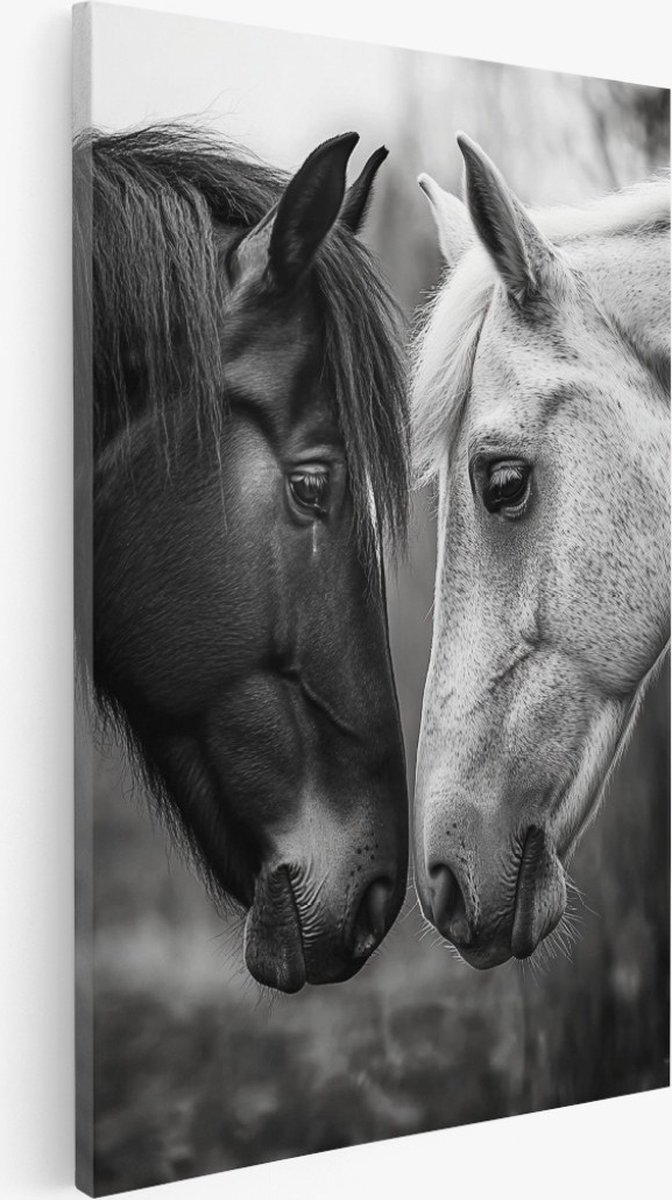 Saammp Canvas Schilderij - Paarden - Liefdevol - Nederland - Dieren - Natuur - 40x50 - Foto op canvas - Wanddecoratie - Muurdecoratie Woonkamer - Slaapkamer decoratie - Canvas Print Multicolor