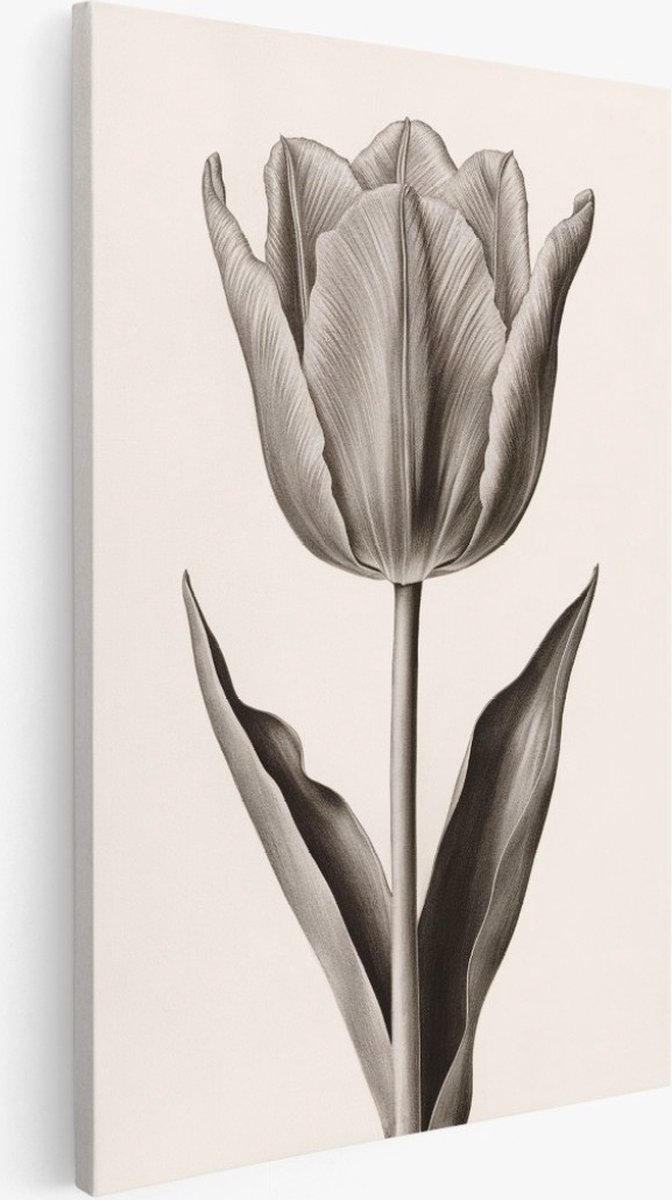 Saammp Canvas Schilderij - Vintage Tulp - Natuur - Bloemen - 50x70 - Foto op canvas - Wanddecoratie - Muurdecoratie Woonkamer - Kantoor Decoratie Multicolor