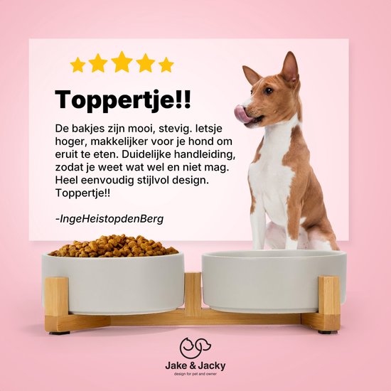 Basenji likt zijn bek naast grijze keramische dubbele voerbak op bamboe standaard met hondenbrokken.