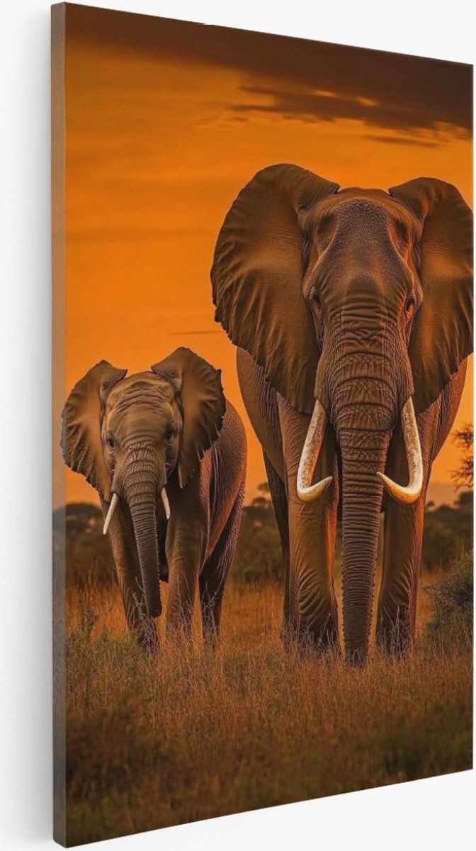 Saammp Canvas Schilderij - Olifanten familie in zonsondergang - Dieren - Natuur - 20x30 - Foto op canvas - Wanddecoratie - Muurdecoratie Woonkamer - Slaapkamer decoratie - Canvas Print Multicolor