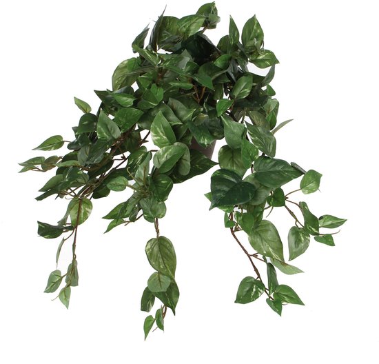 Een groene kunst scindapsus drakenklimop hangplant, met hartvormige bladeren met lichte spikkels.