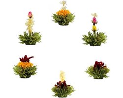 Theebloemen boeket groene thee - Bloementhee - Thee Bloemen | 6 stuks