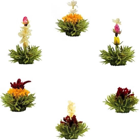 Theebloemen boeket groene thee - Bloementhee - Losse Theebloemen | 6 stuks
