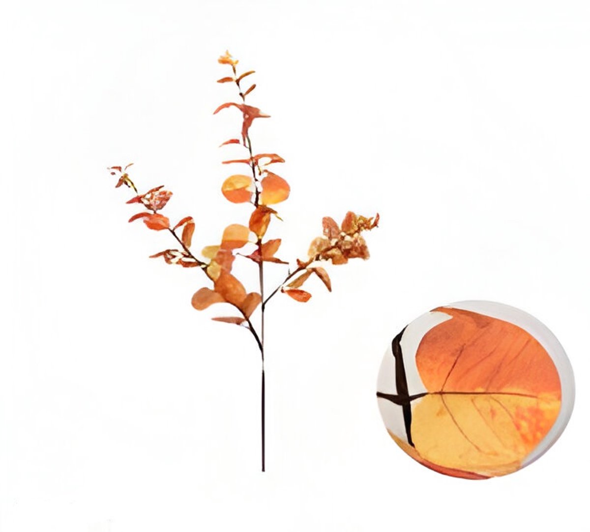 Buitengewoon de boet - Money leaf tak oranje 104 cm