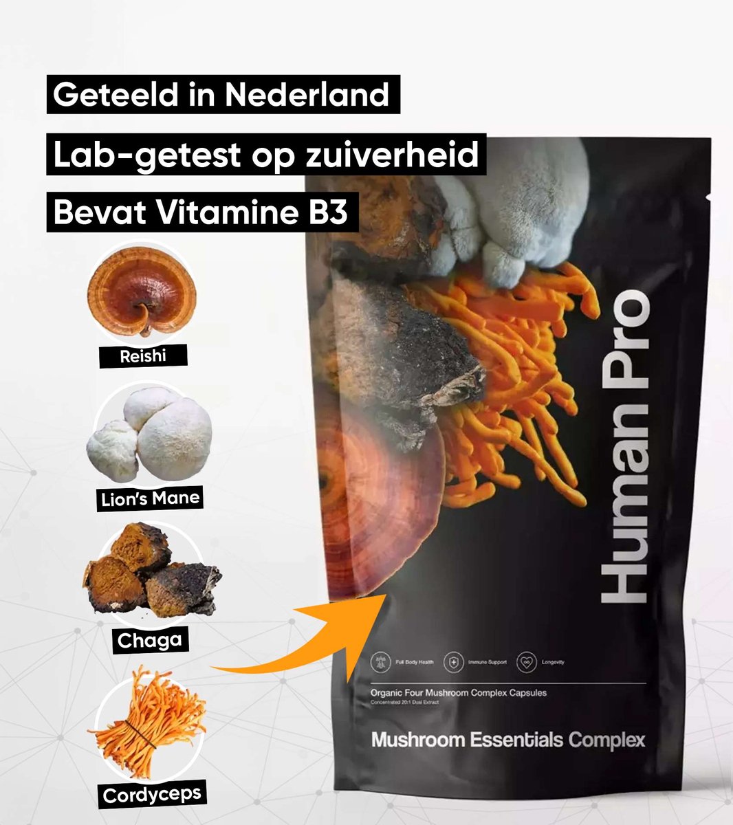 Goedkoopste Human Pro - Mushroom Essentials Complex - 4 functionele paddenstoelen in 1 extract - Geteeld op eigen boerderij in Flevoland - Getest door Extern Lab - Ondersteunt Focus - Draagt bij aan Mentale Helderheid - Ondersteunt het Immuunsysteem