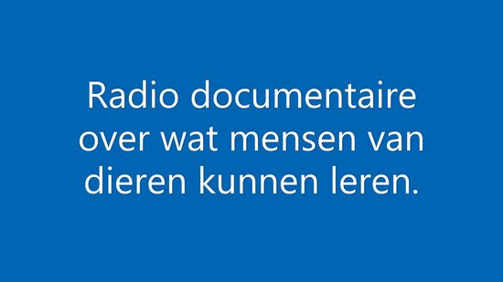 Leren door dieren