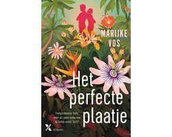 Omslag van Het perfecte plaatje