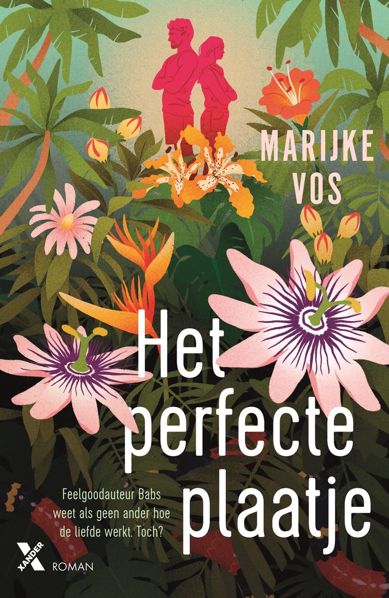 Omslag van Het perfecte plaatje