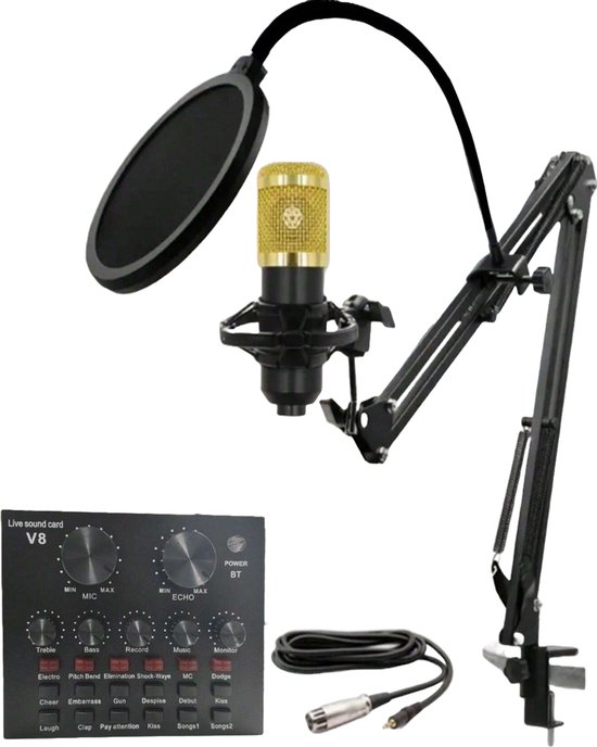 V8 Stream S&E V8 BM800 Live Streaming & Opname Set – Complete Studio Kit voor ...