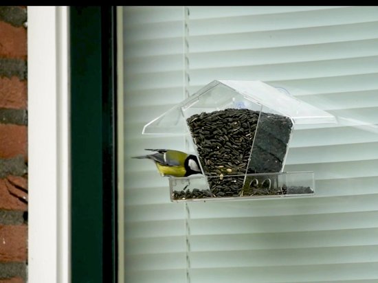 CJ Wildlife Vogelvoederhuisje Raam met Zuignappen - Aanbevolen door Vogelbescherming Nederland - Raamvoederhuisje Transparant - Vogelhuisje met Regenafvoergaten