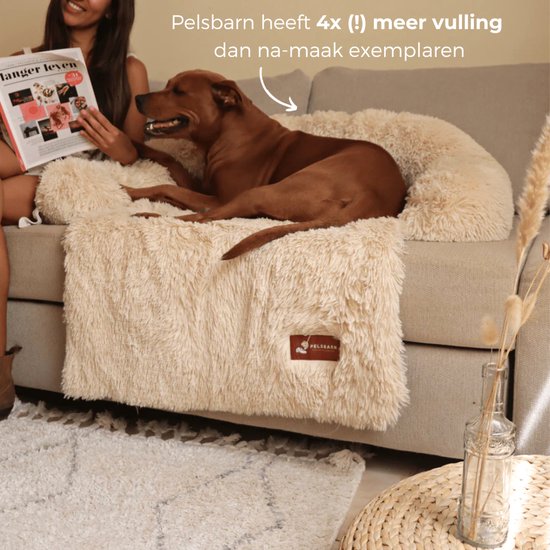 Hondenbed Hondenbank Hondenbank Hondenkussen van BASEL Hondenbed Hondenbank Hondenbank Hondenkussen van BASEL