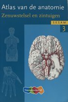 Atlas van de anatomie 3 Zenuwstelsel en zintuigen