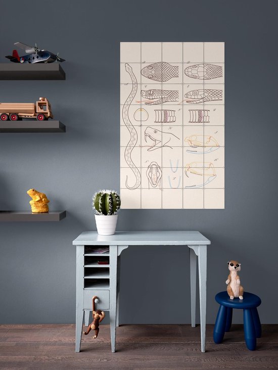 IXXI Serpent - Anatomie, Aster Edition - 100 x 140 cm - Gratis ophangtool - Grote wanddecoratie en posters - Technische Tekening, Illustraties, Line